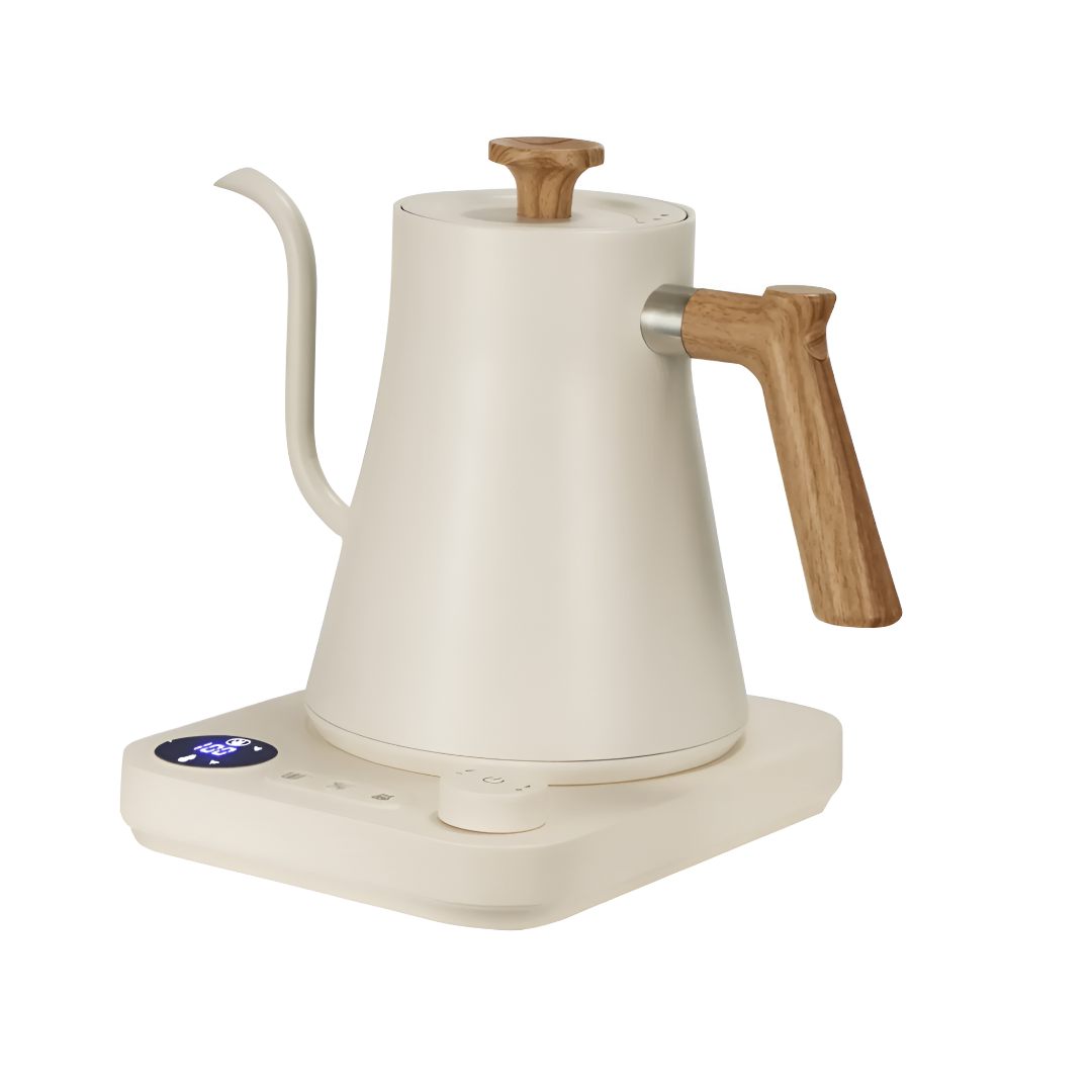 Gooseneck Electric Kettle with Temperature Control