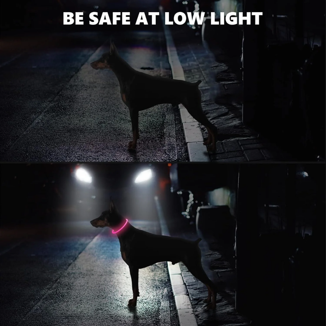 Rechargeable LED Dog Collar