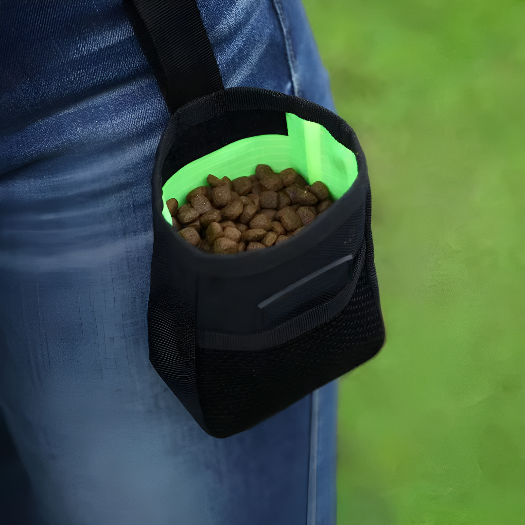 Dog Treat Training Pouch