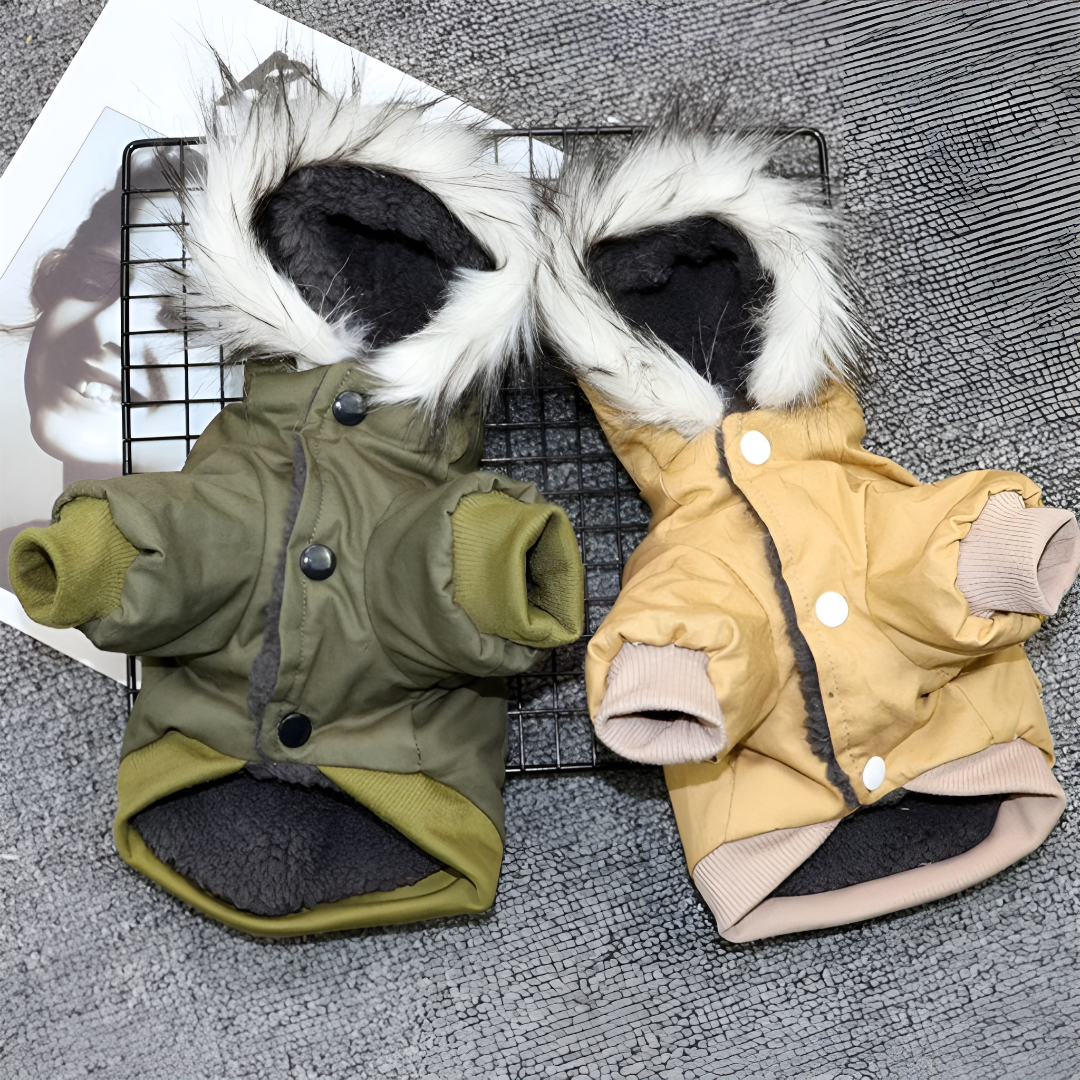 Dog Winter Coat with Hood