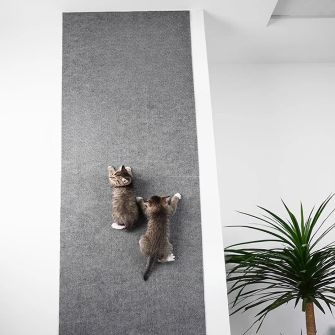 Wall Mounted Scratcher Mat for Cats