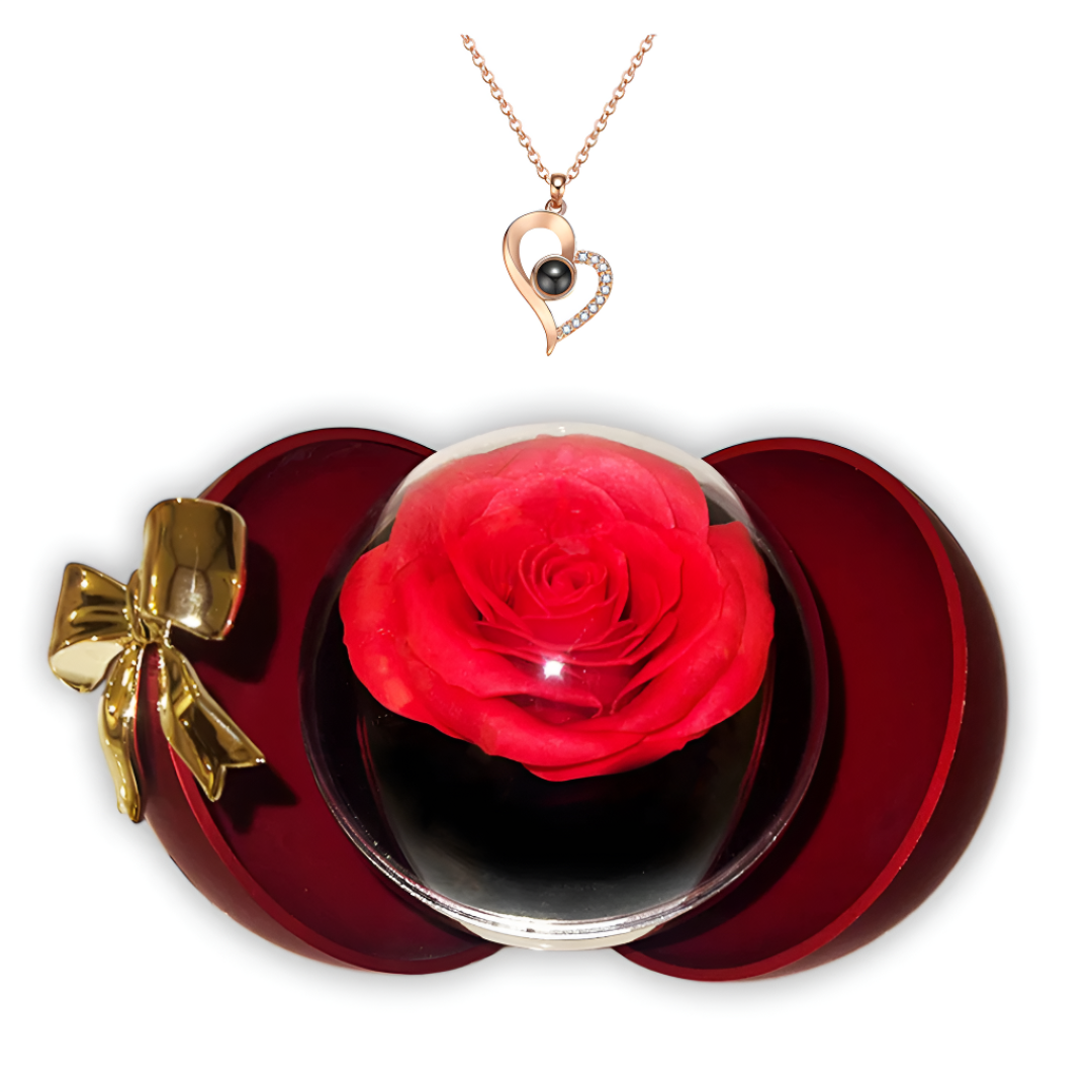Eternal Rose Jewelry Box with Necklace – Romantic Gift for Her