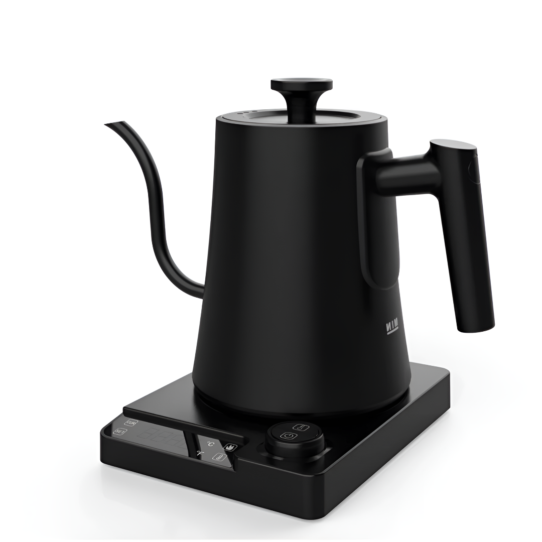 Gooseneck Electric Kettle with Temperature Control
