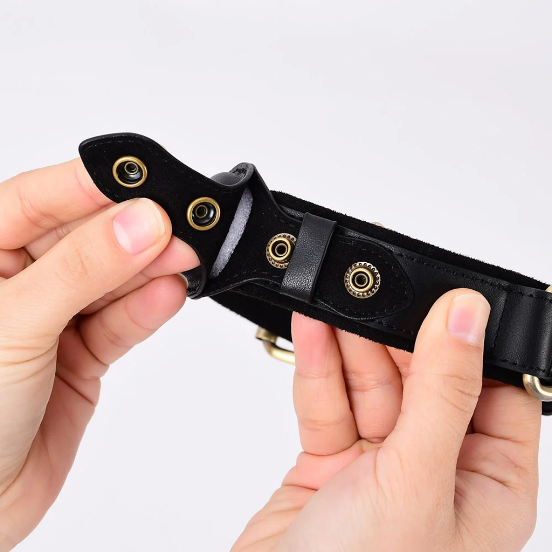 Leather AirTag Dog Collar