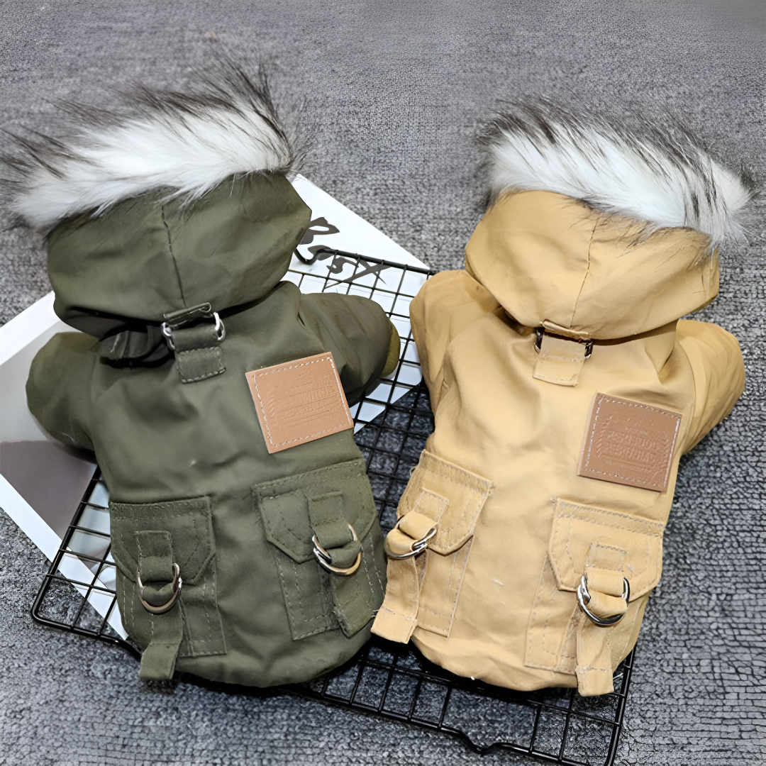 Dog Winter Coat with Hood