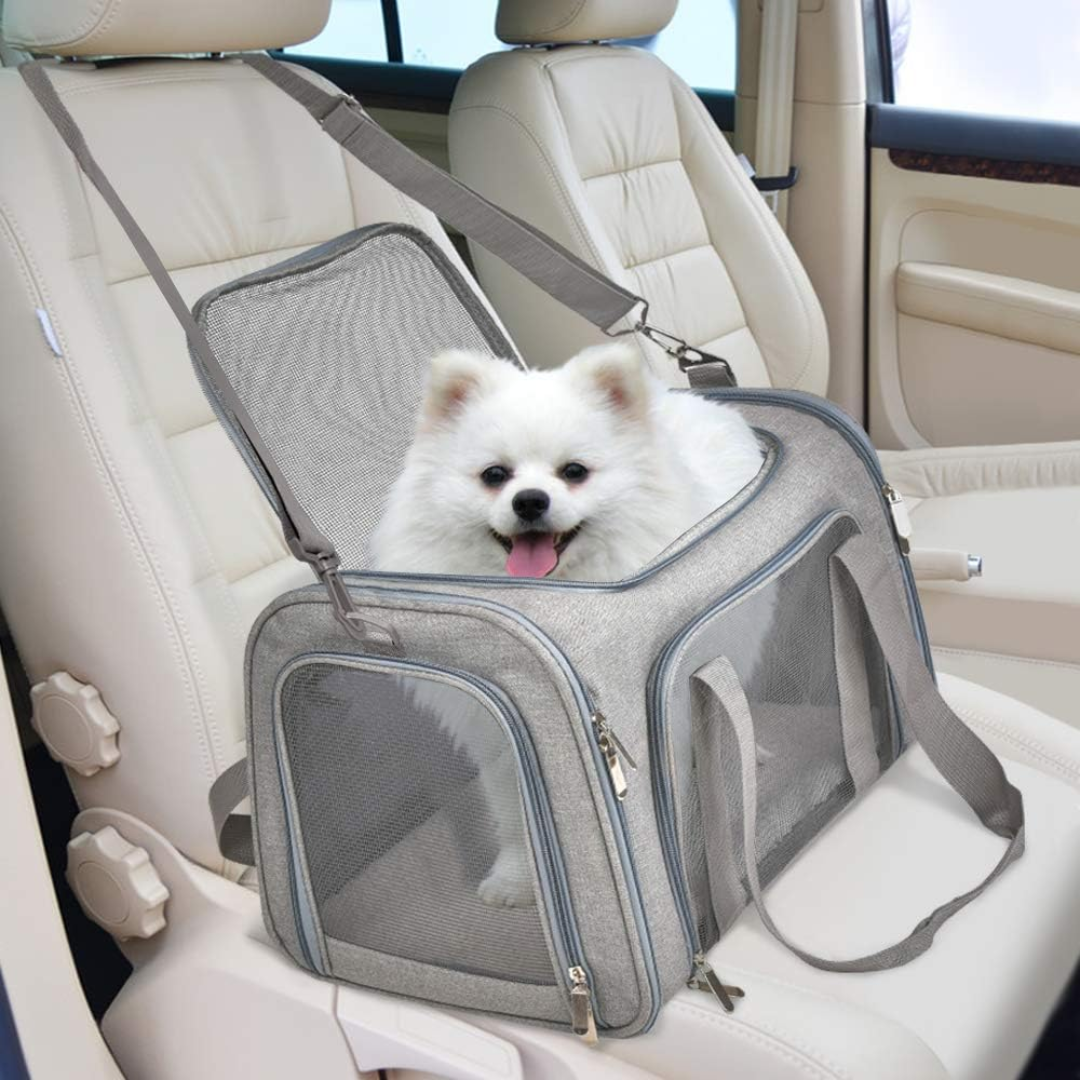 TSA Approved Small Pet Carrier for Cats and Dogs