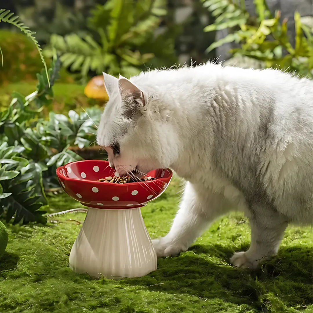 Elevated Ceramic Mushroom Cat Bowl