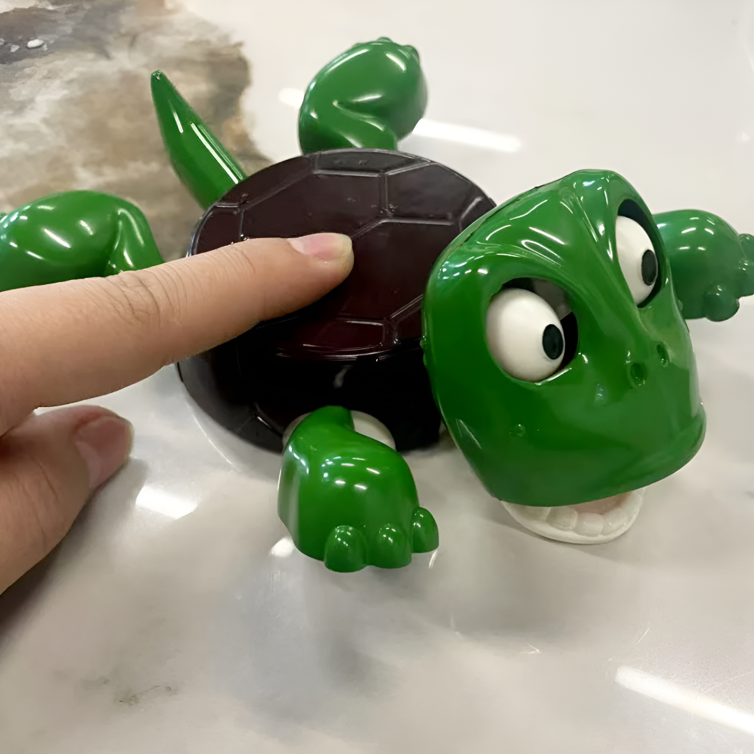 Funny Turtle Mug and Cup Coaster