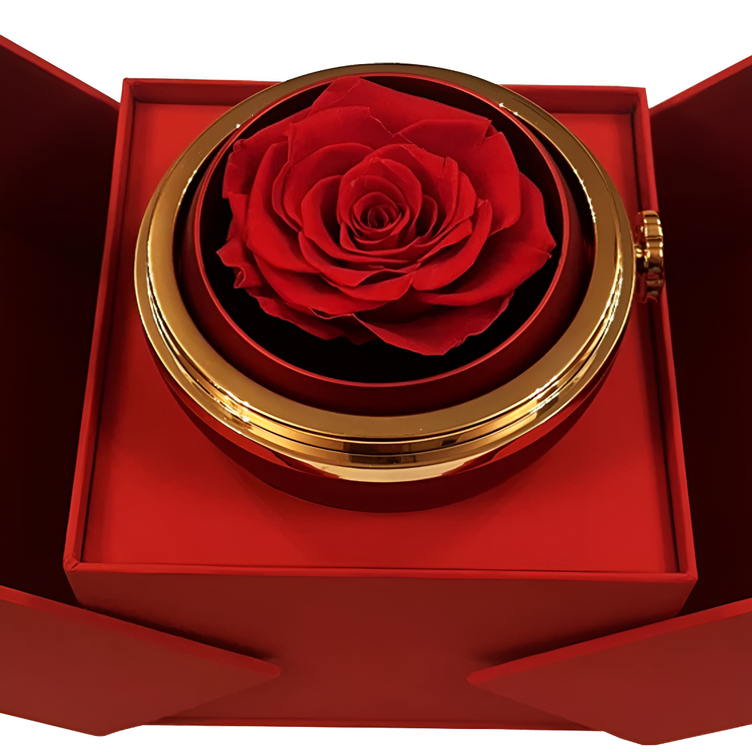 Eternal Rose Necklace Gift Box
