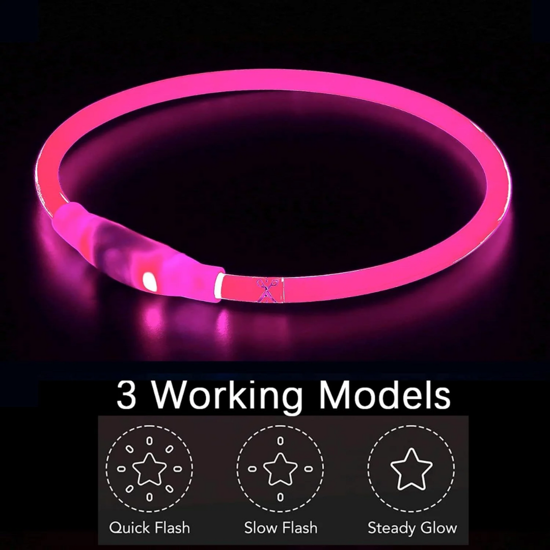 Rechargeable LED Dog Collar