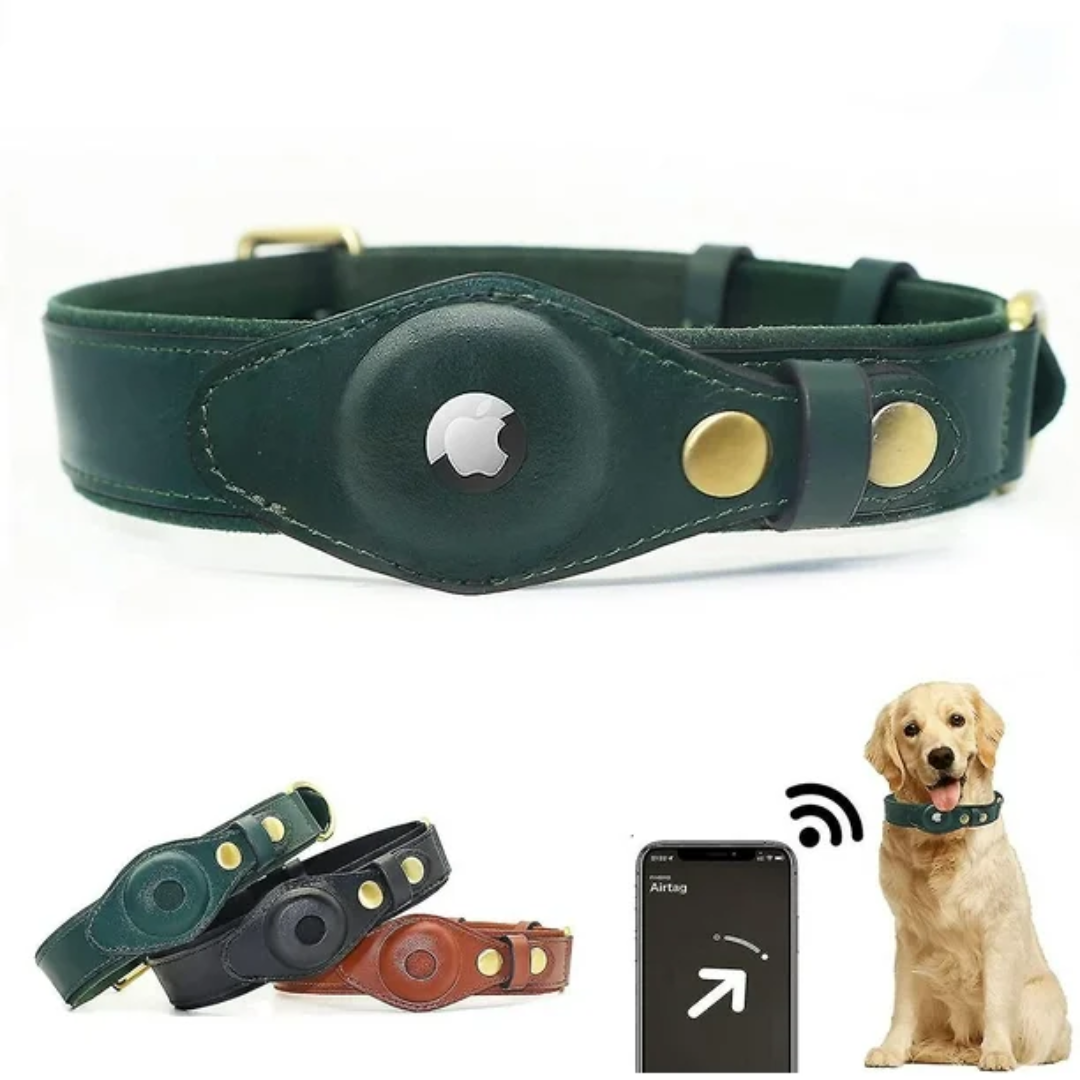 Leather AirTag Dog Collar