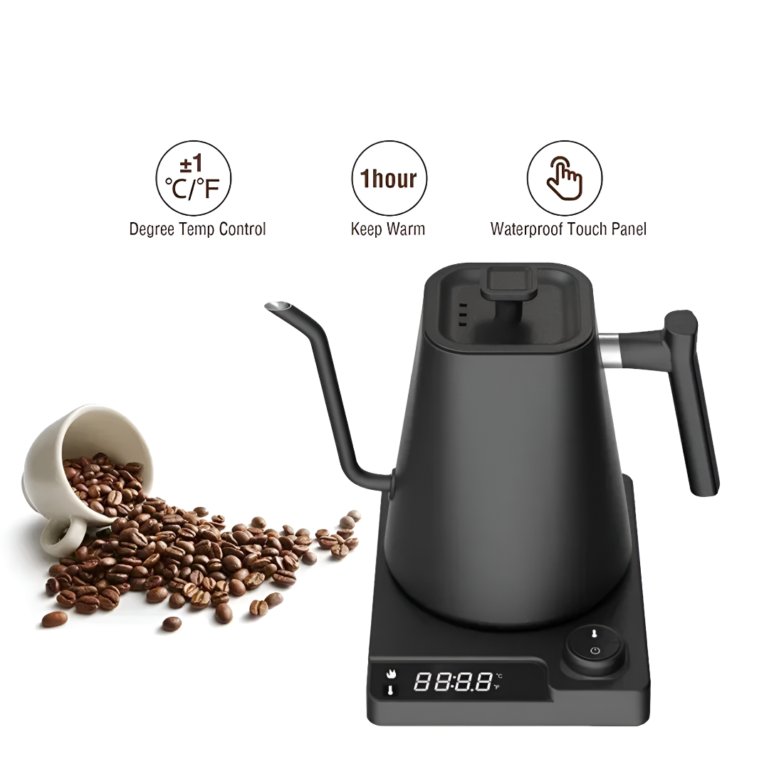 Gooseneck Electric Kettle with Temperature Control