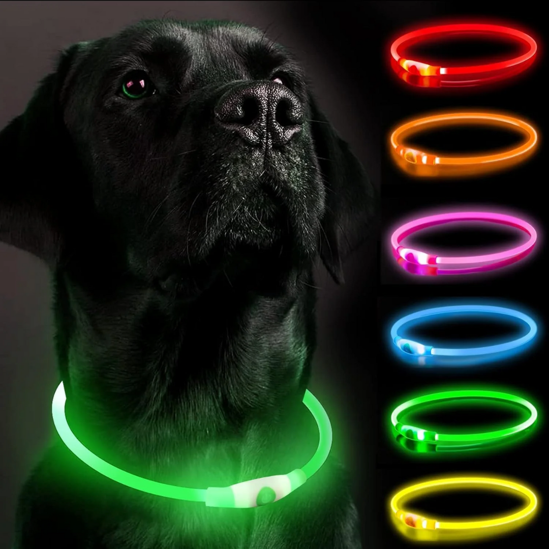 Rechargeable LED Dog Collar