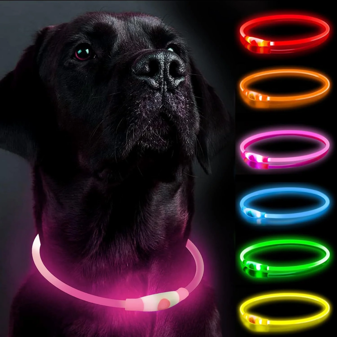 Rechargeable LED Dog Collar
