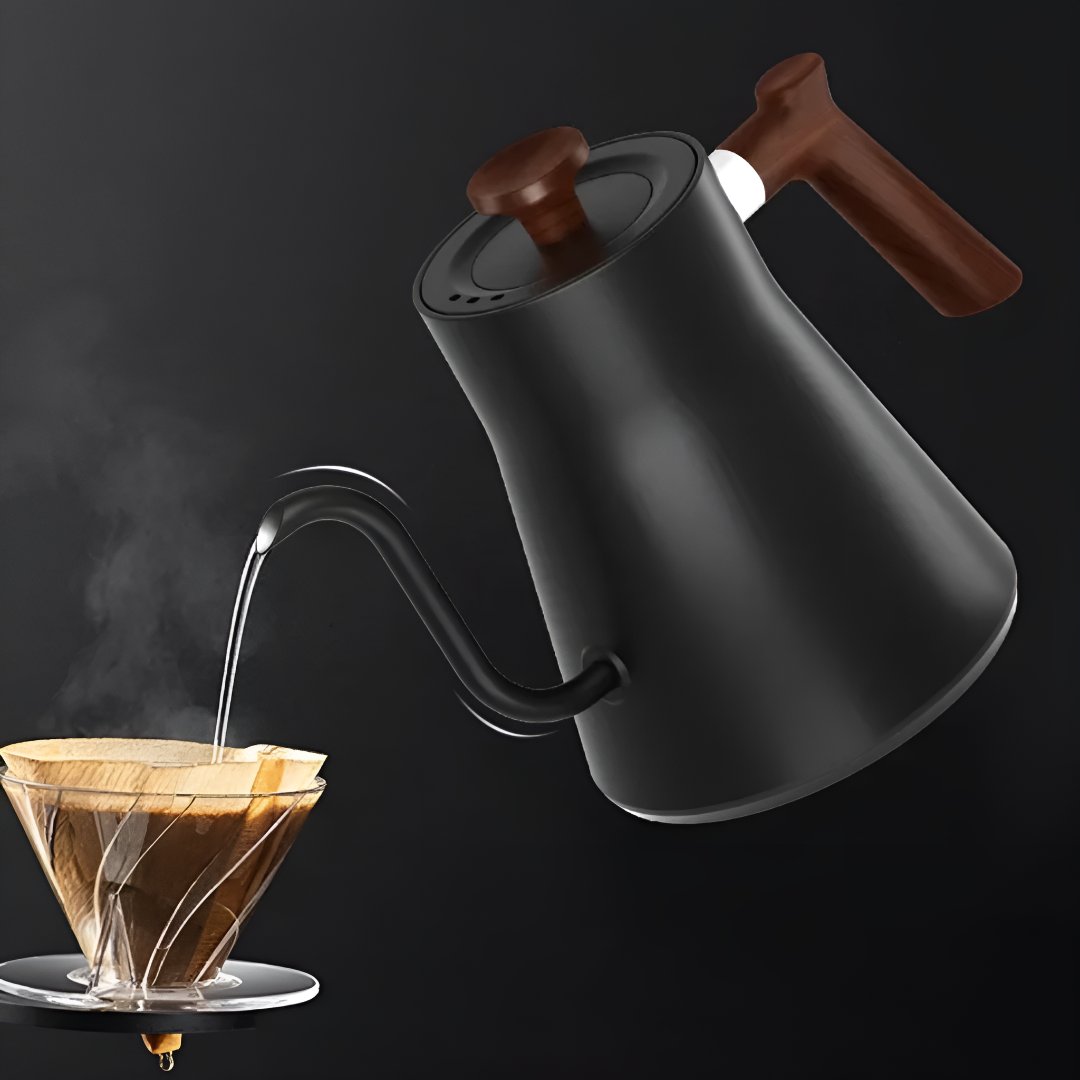 Gooseneck Electric Kettle with Temperature Control