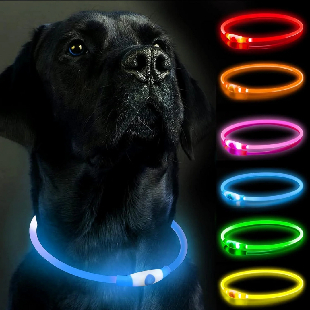 Rechargeable LED Dog Collar