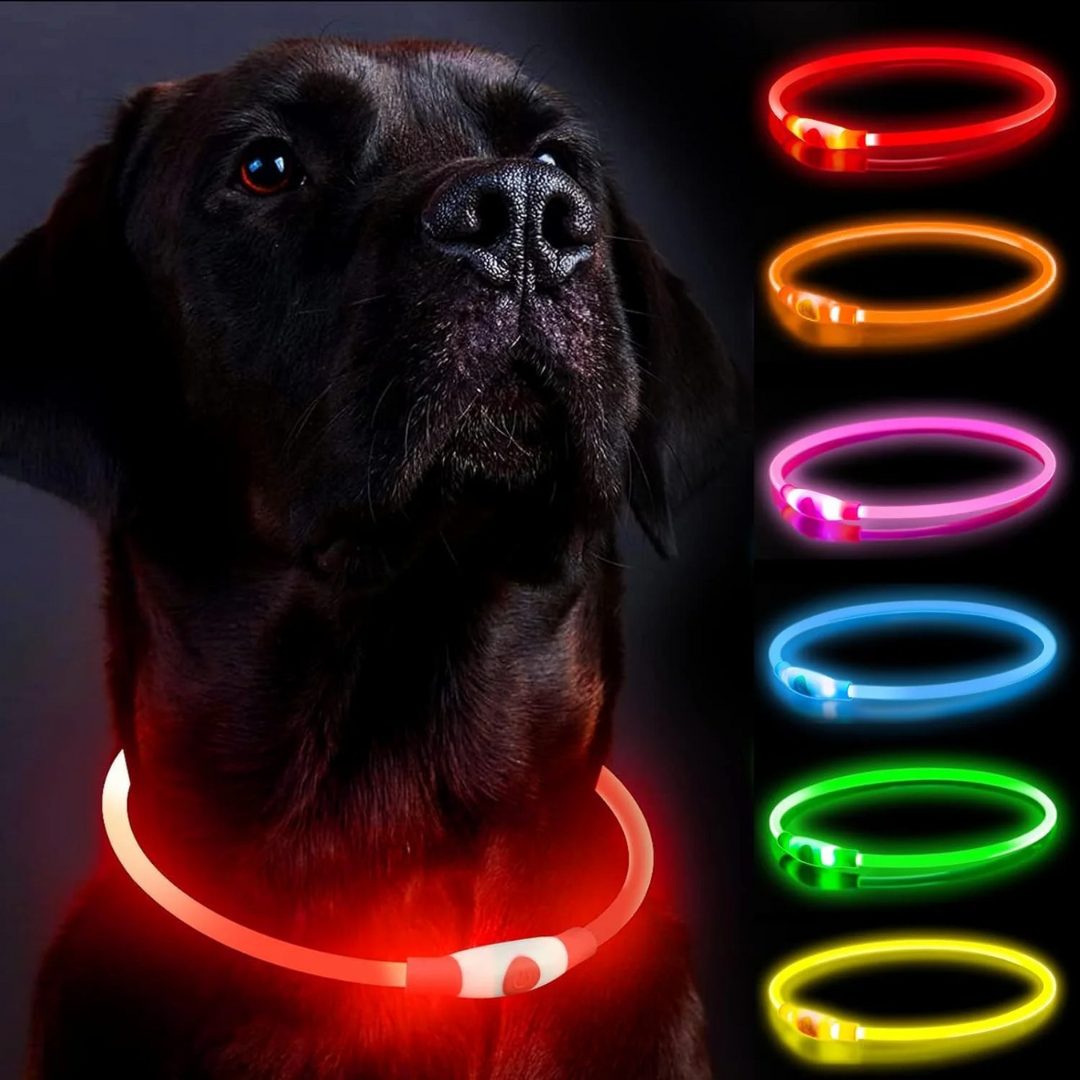 Rechargeable LED Dog Collar