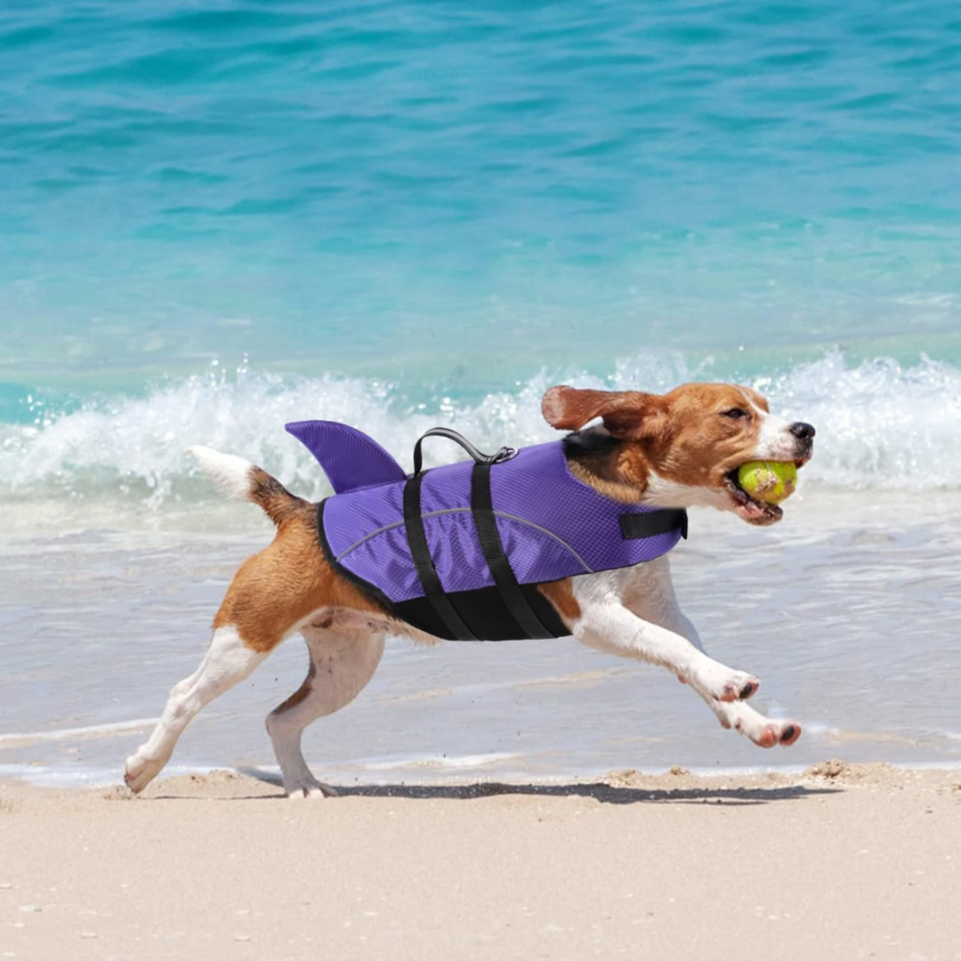 Shark Life Jacket with Handle for Dogs