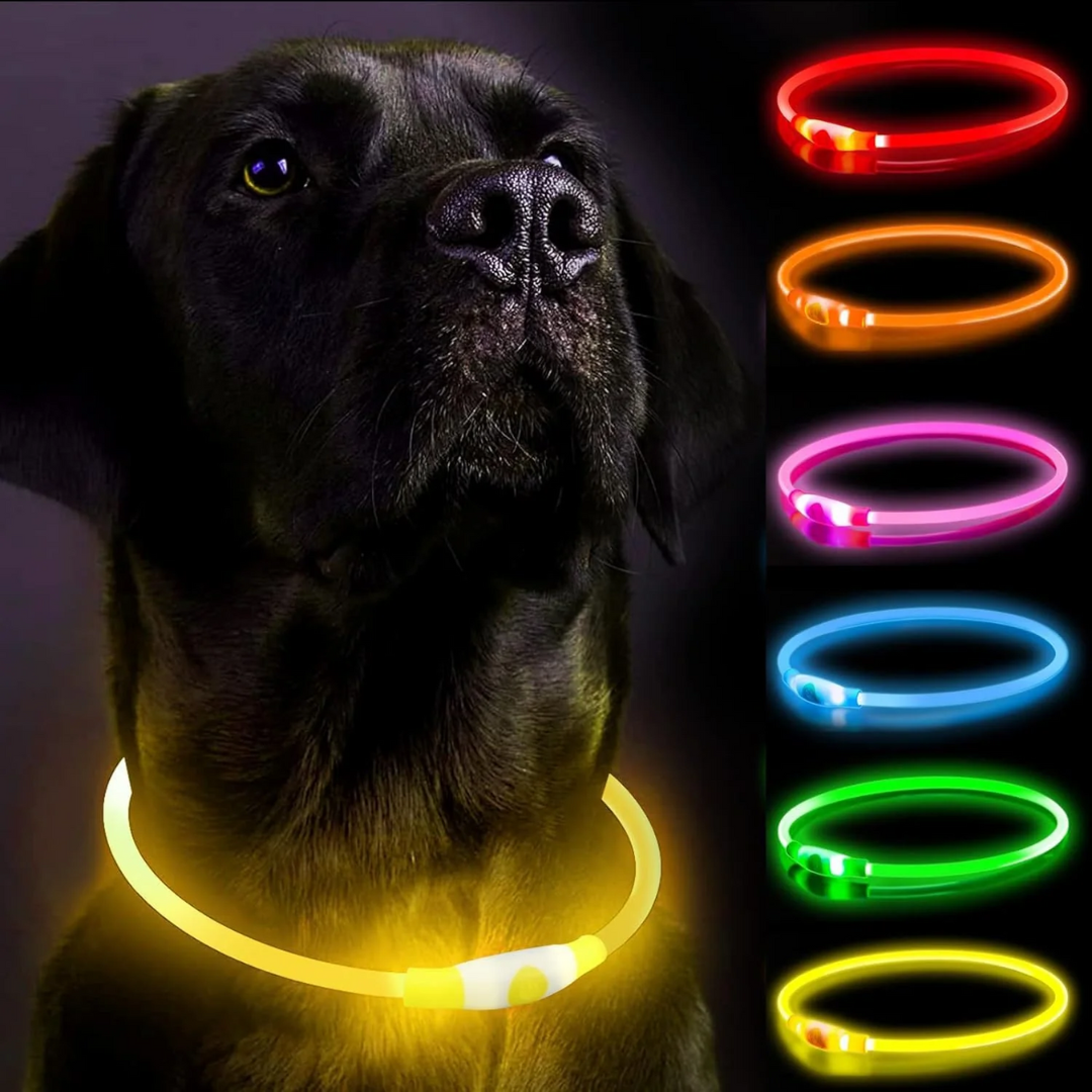 Rechargeable LED Dog Collar