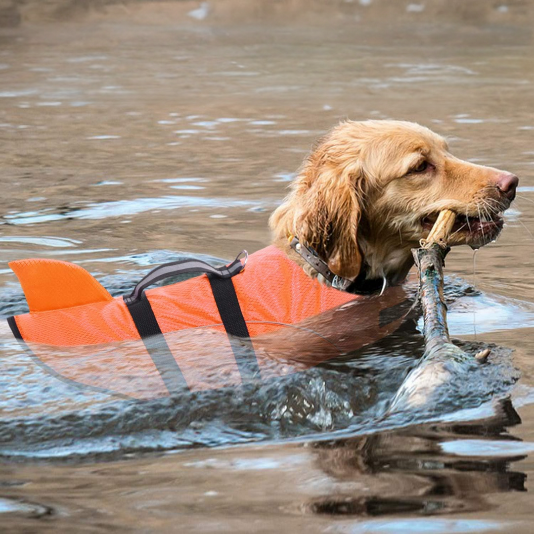 Shark Life Jacket with Handle for Dogs