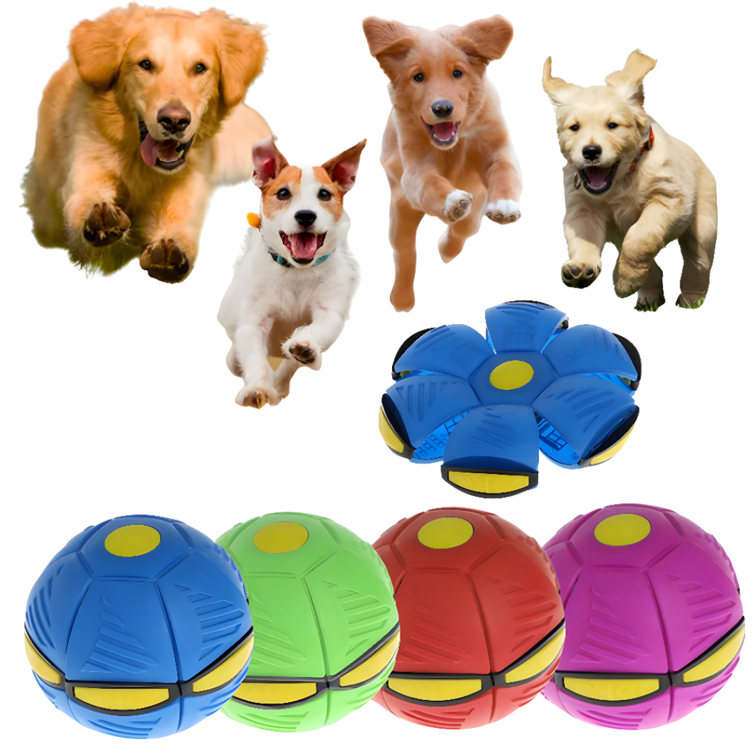 Dog Frisbee Ball