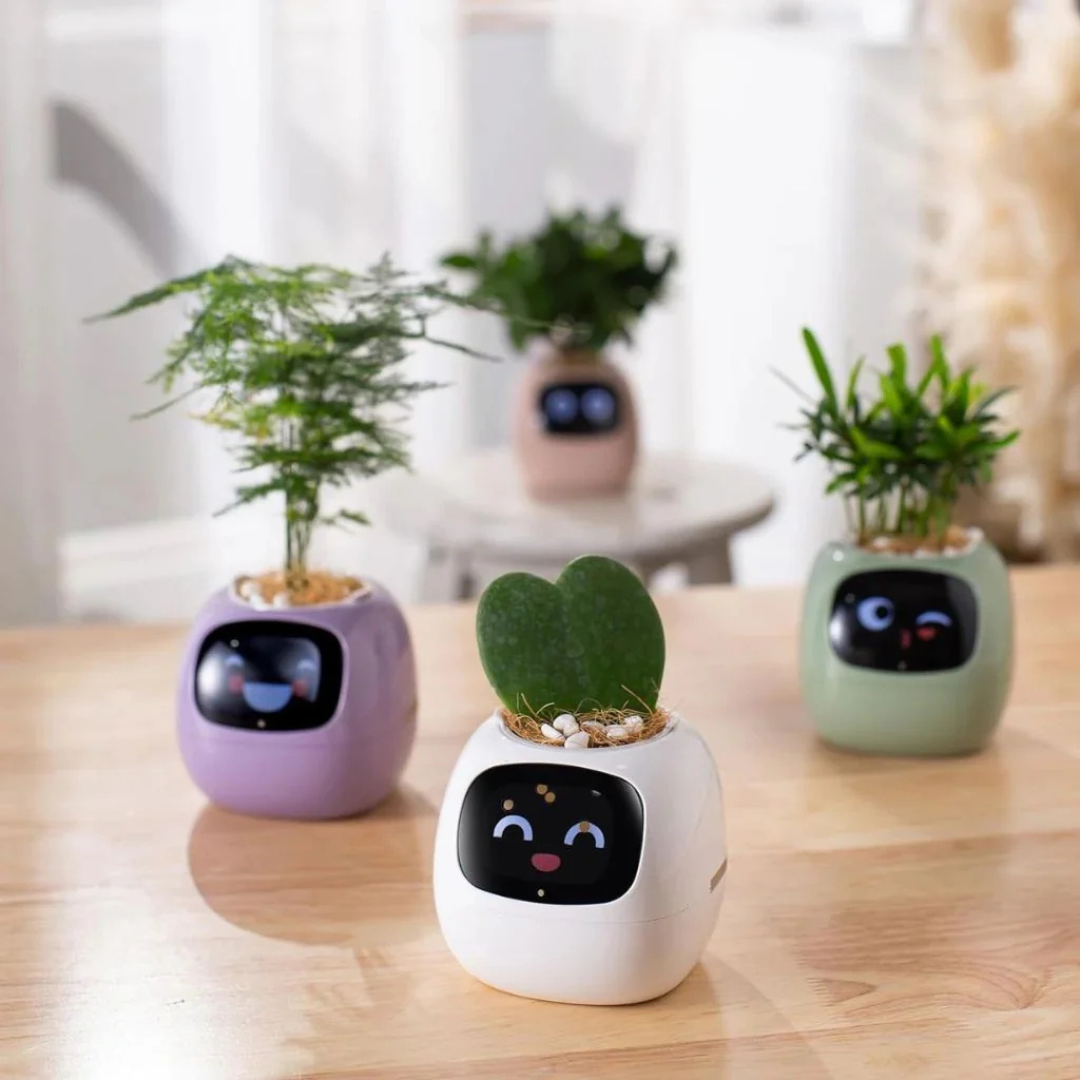 Smart Self-Watering Planter