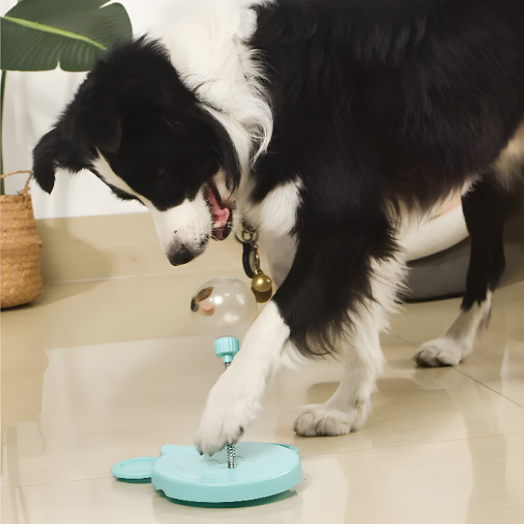 Cat Treat Dispenser Ball Toy