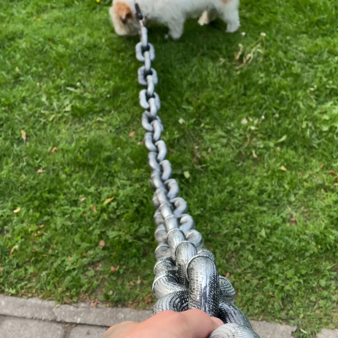 Chain Leash