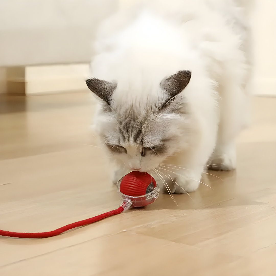 Interactive Cat Ball Toy