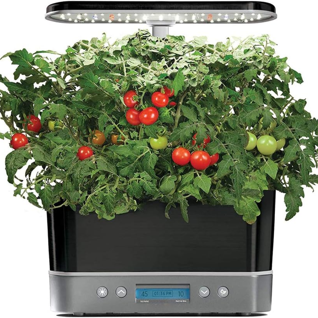 Indoor Hydroponic Garden System