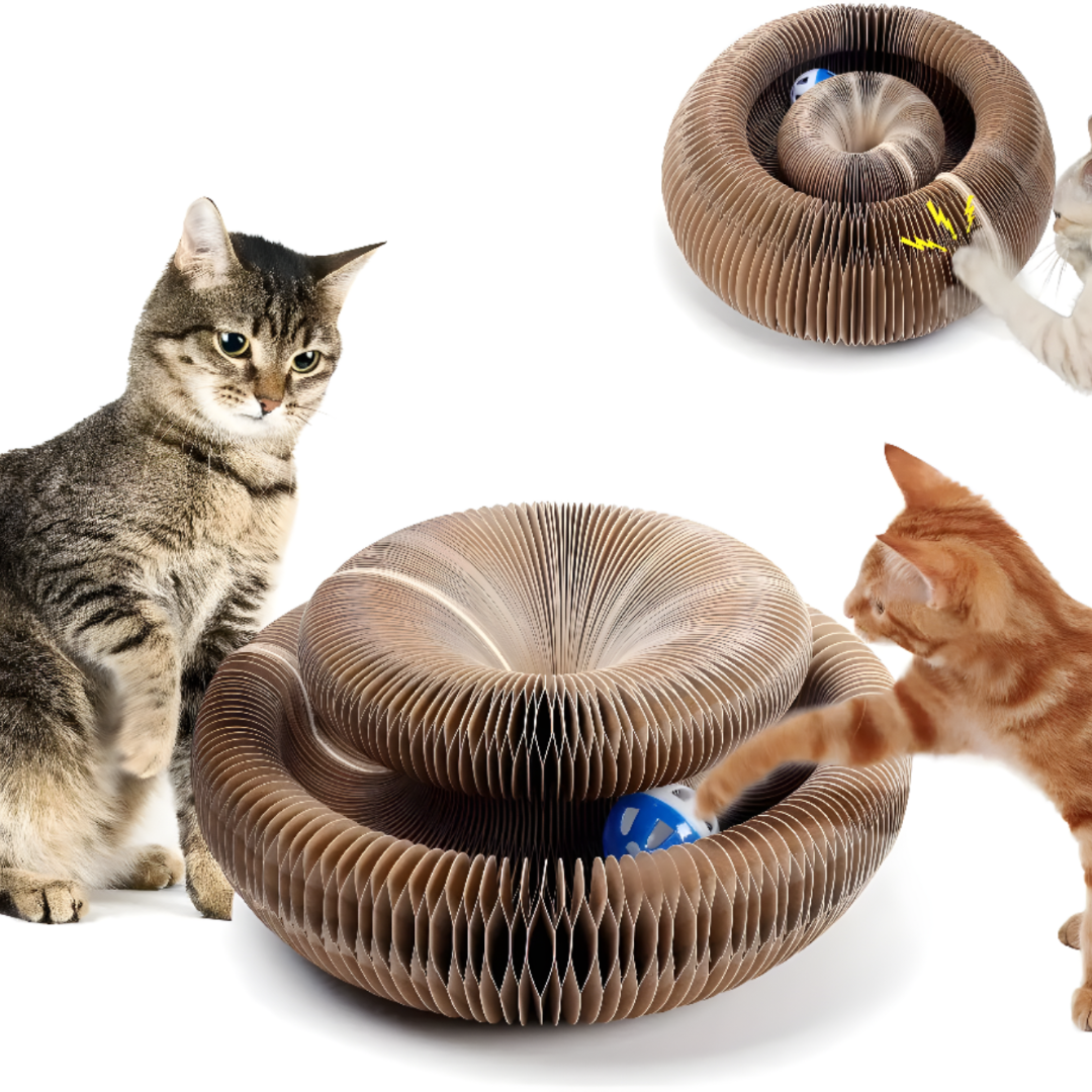 Interactive Cat Toy