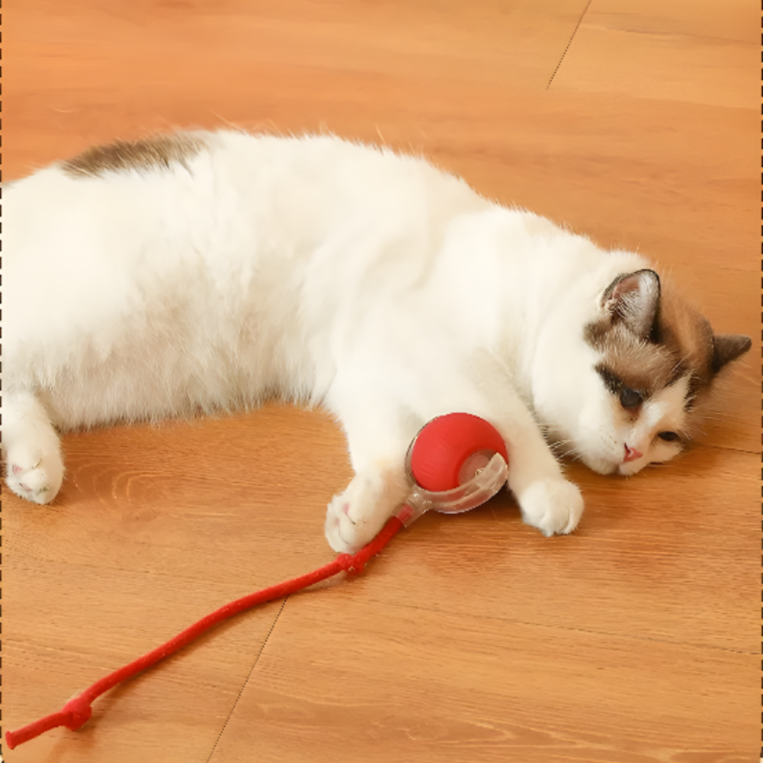 Interactive Cat Ball Toy