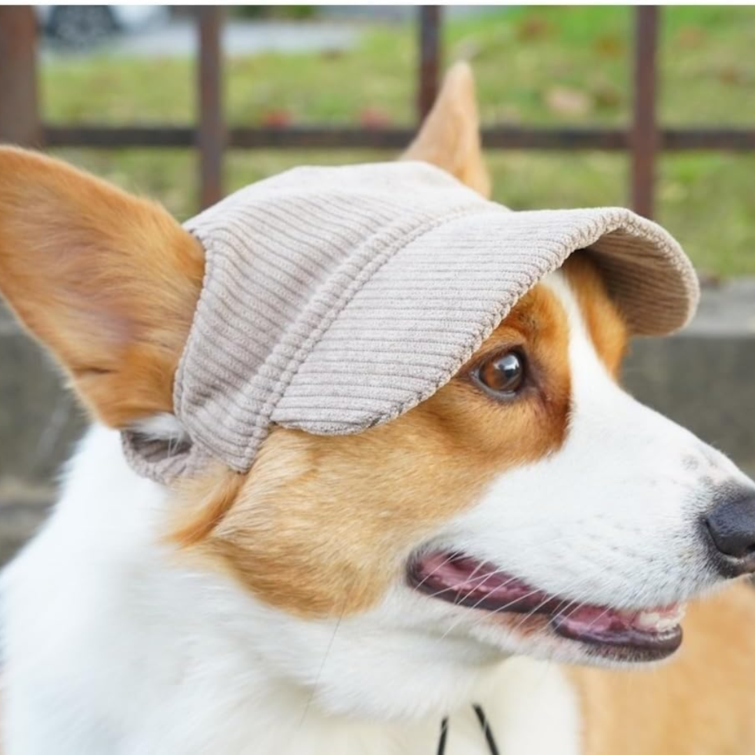 Dog Sun Hat