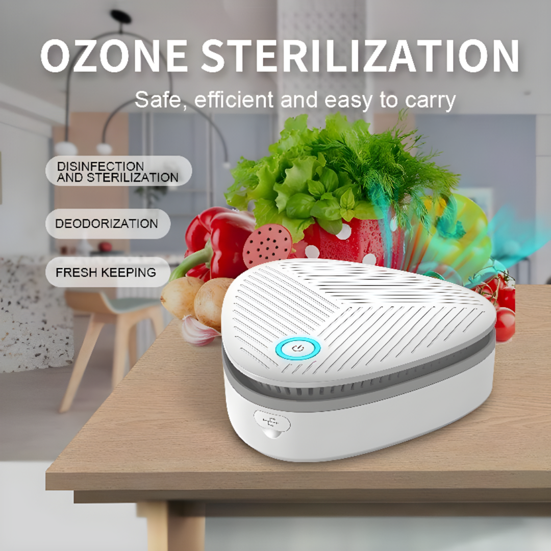 Portable Ozone Air Purifier