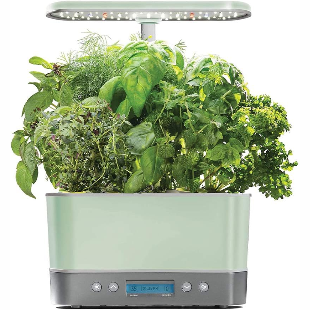 Indoor Hydroponic Garden System