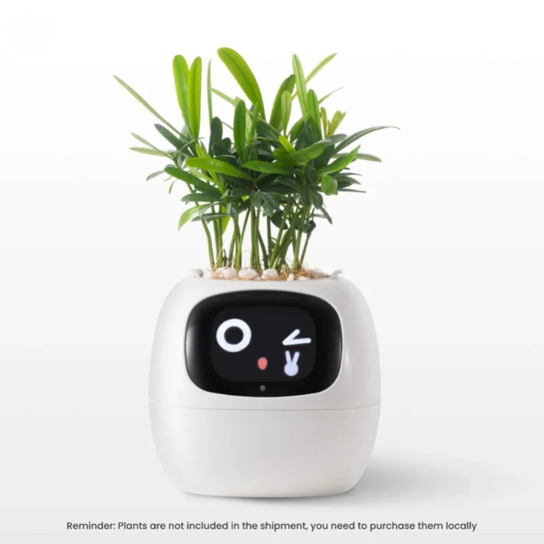 Smart Self-Watering Planter