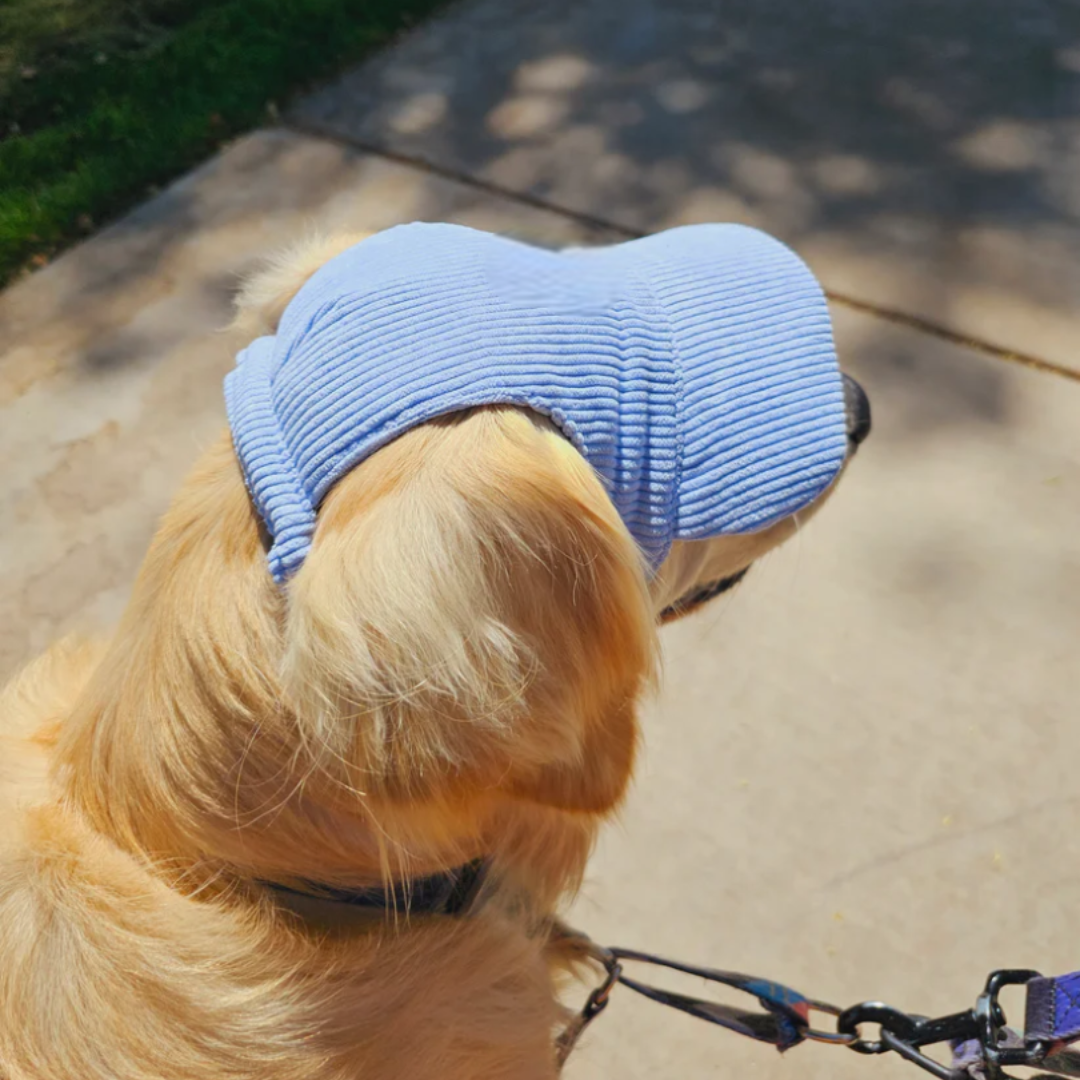 Dog Sun Hat