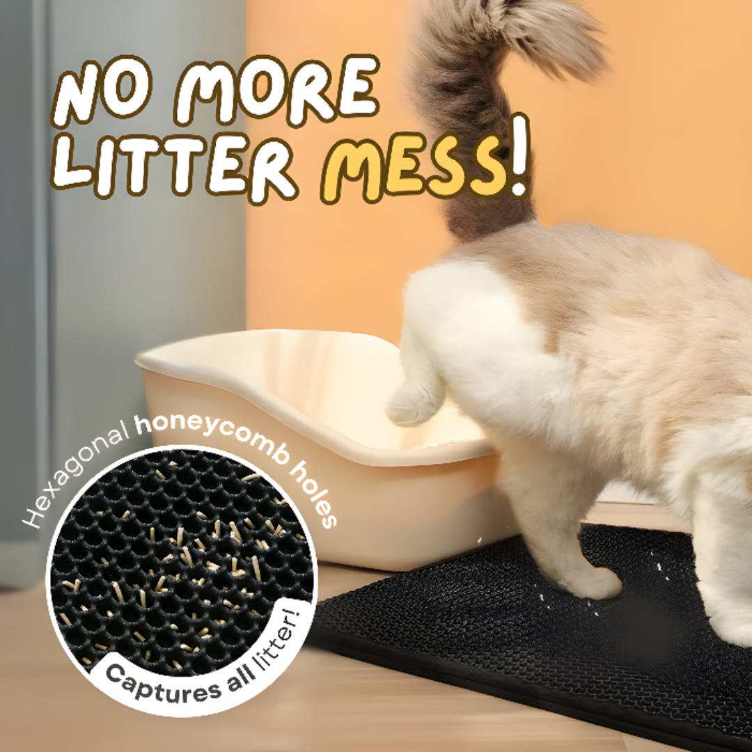 Cat Litter Mat