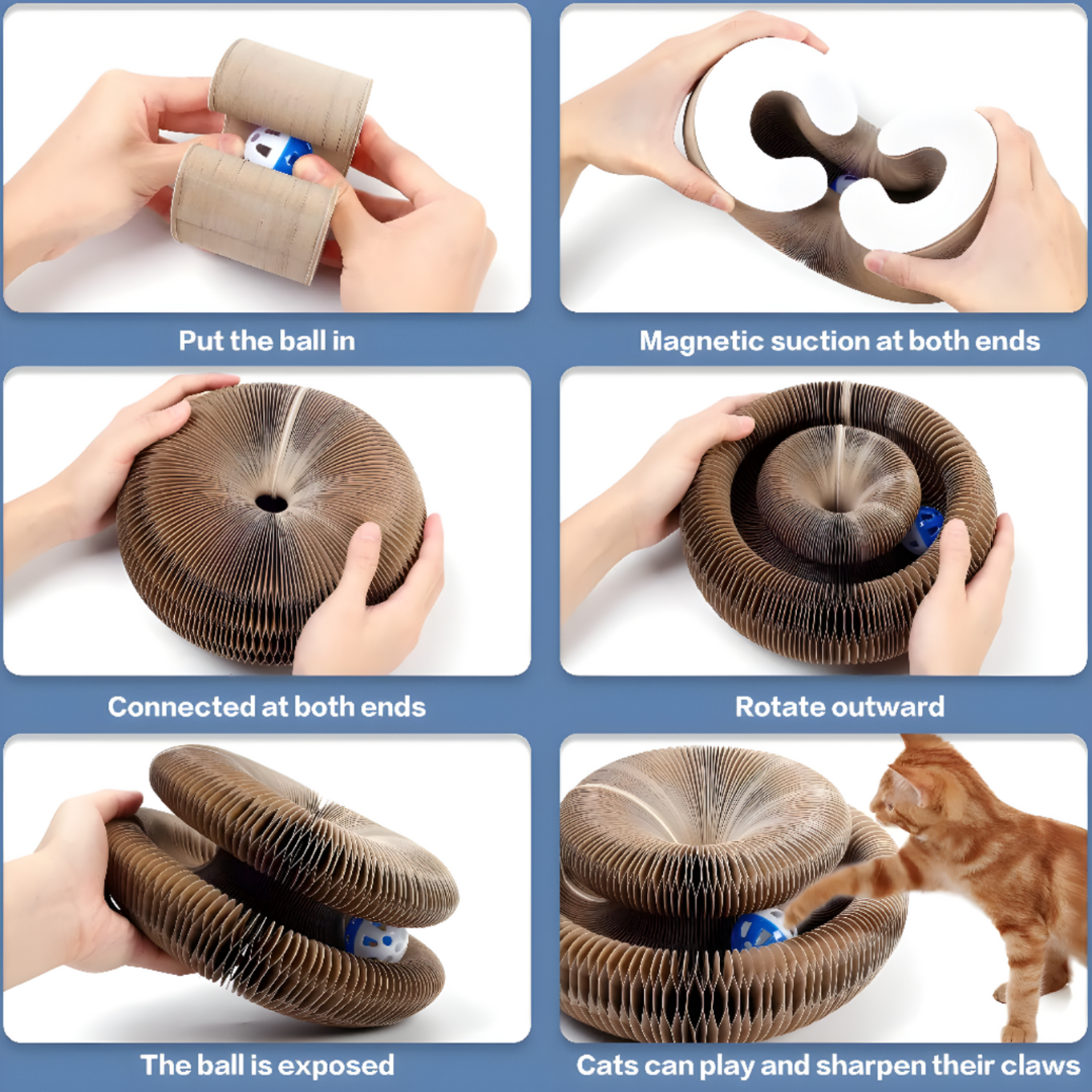 Interactive Cat Toy