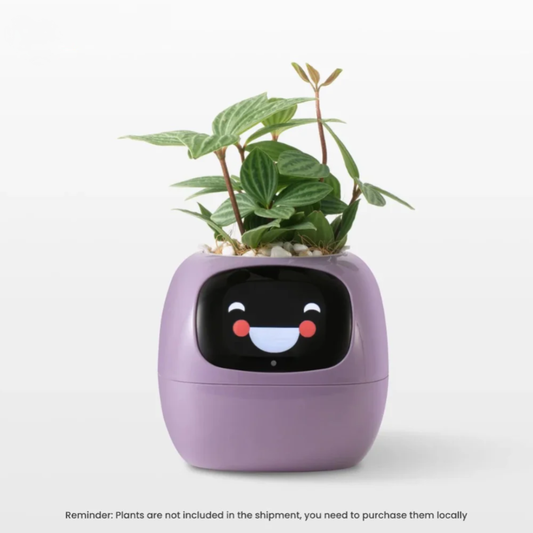 Smart Self-Watering Planter