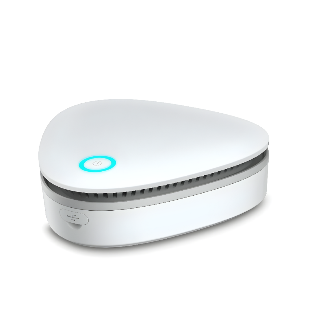 Portable Ozone Air Purifier