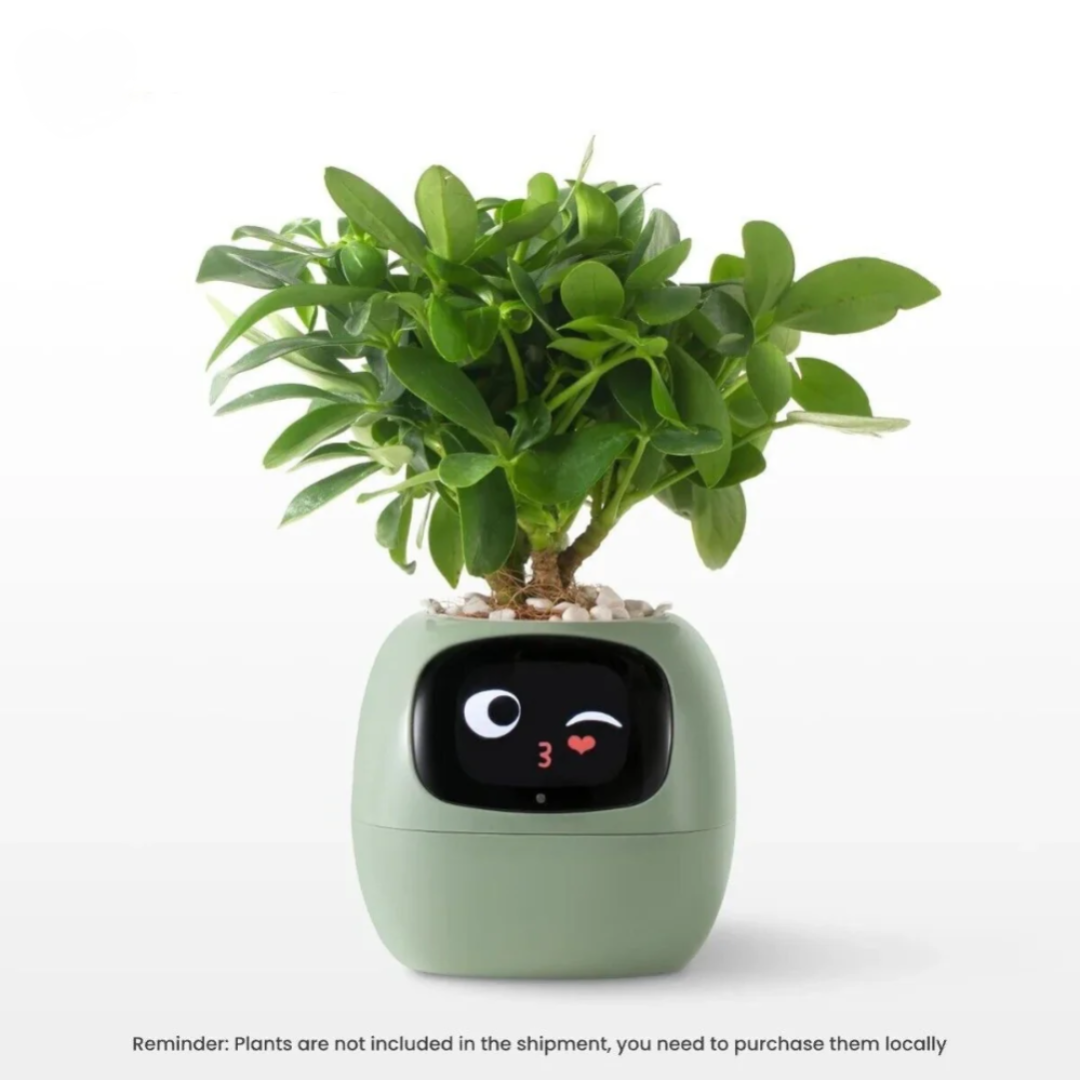 Smart Self-Watering Planter