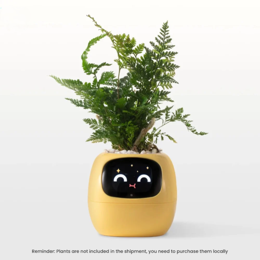 Smart Self-Watering Planter