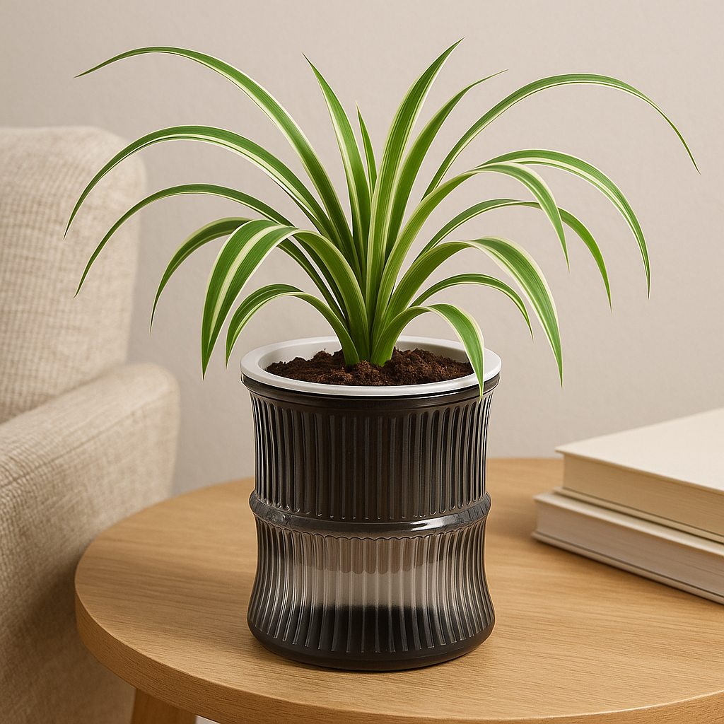 Hydroponic Flower Pot - Self Watering Indoor Planter
